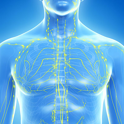 Nutri-Equilibre drainage lymphatique